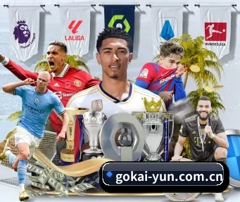 gokai-yun.com.cn APP | kaiyun.ai